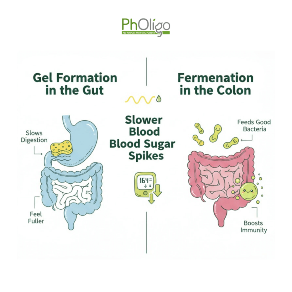 what happens when you consume soluble fiber